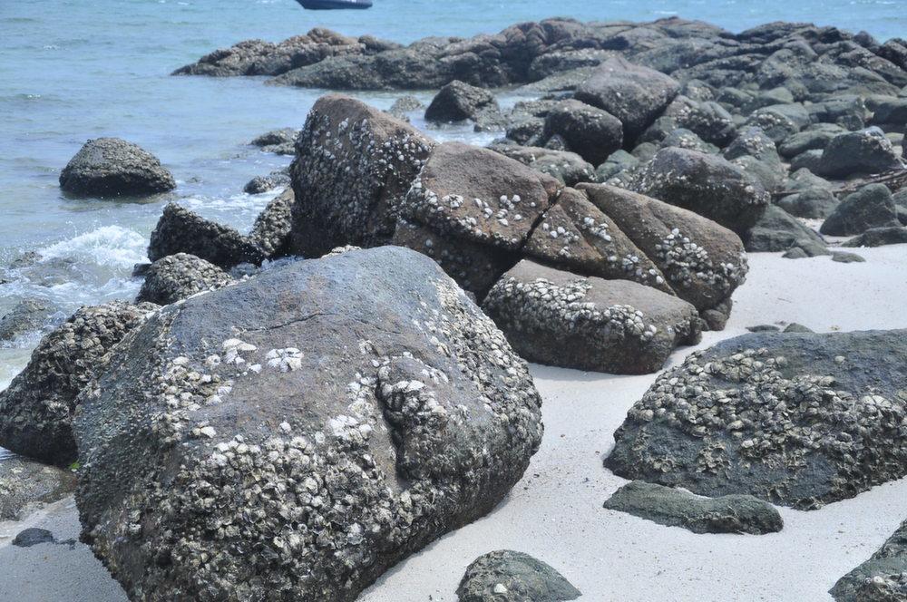 Pangkor Lot 10 Vacation Studio Pekan Pangkor Εξωτερικό φωτογραφία